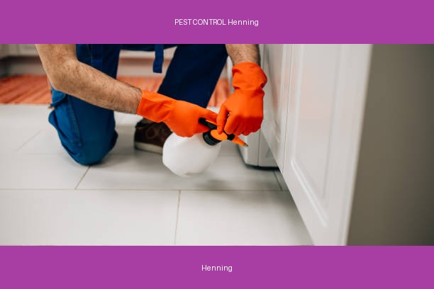 PEST CONTROL Henning
